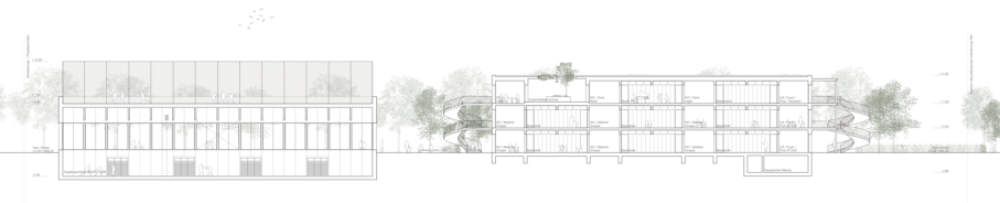 2319 Wettbewerb Schule Neufeld Thun Längsschnitt