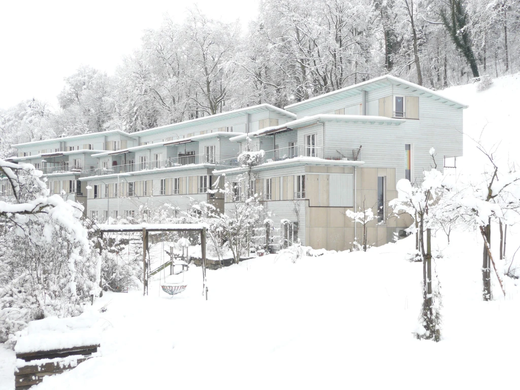 Neubau Wohnbaugenossenschaft Via Felsenau II, Bern
